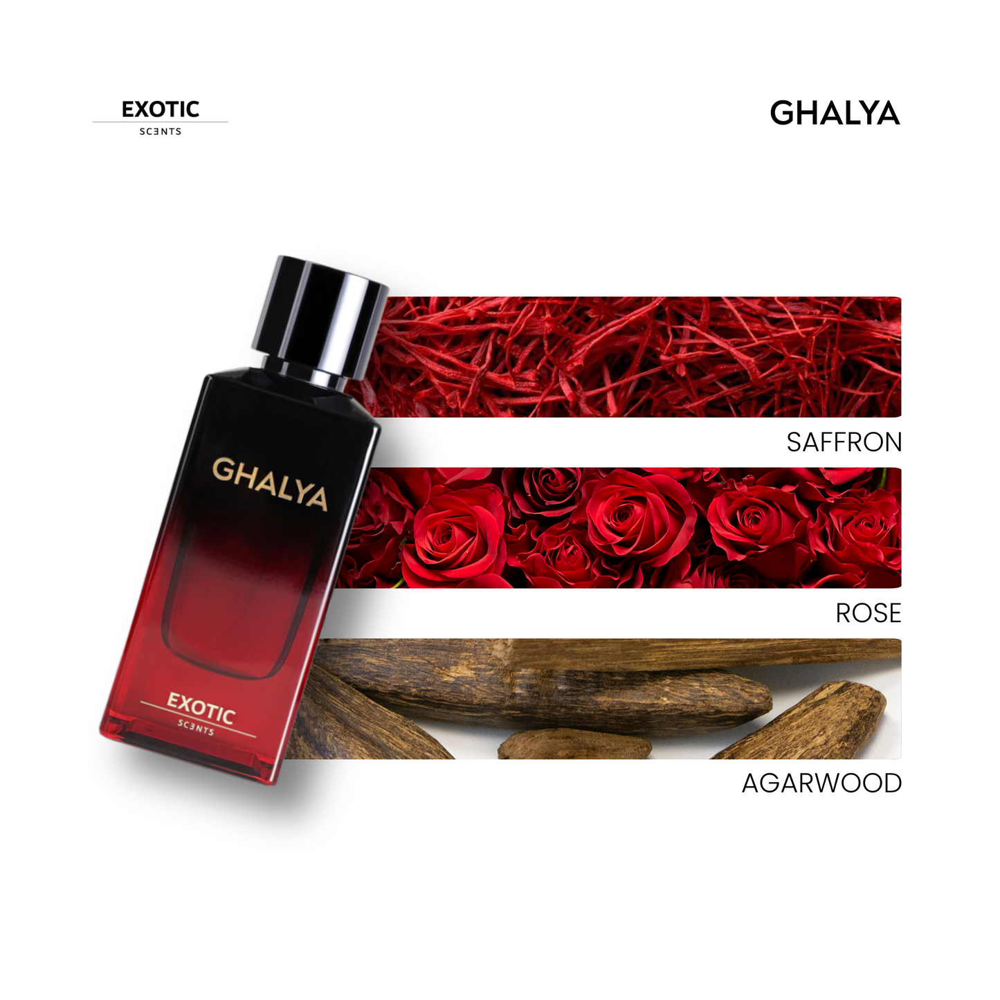 KISWA & GHALYA -The Signature Combo