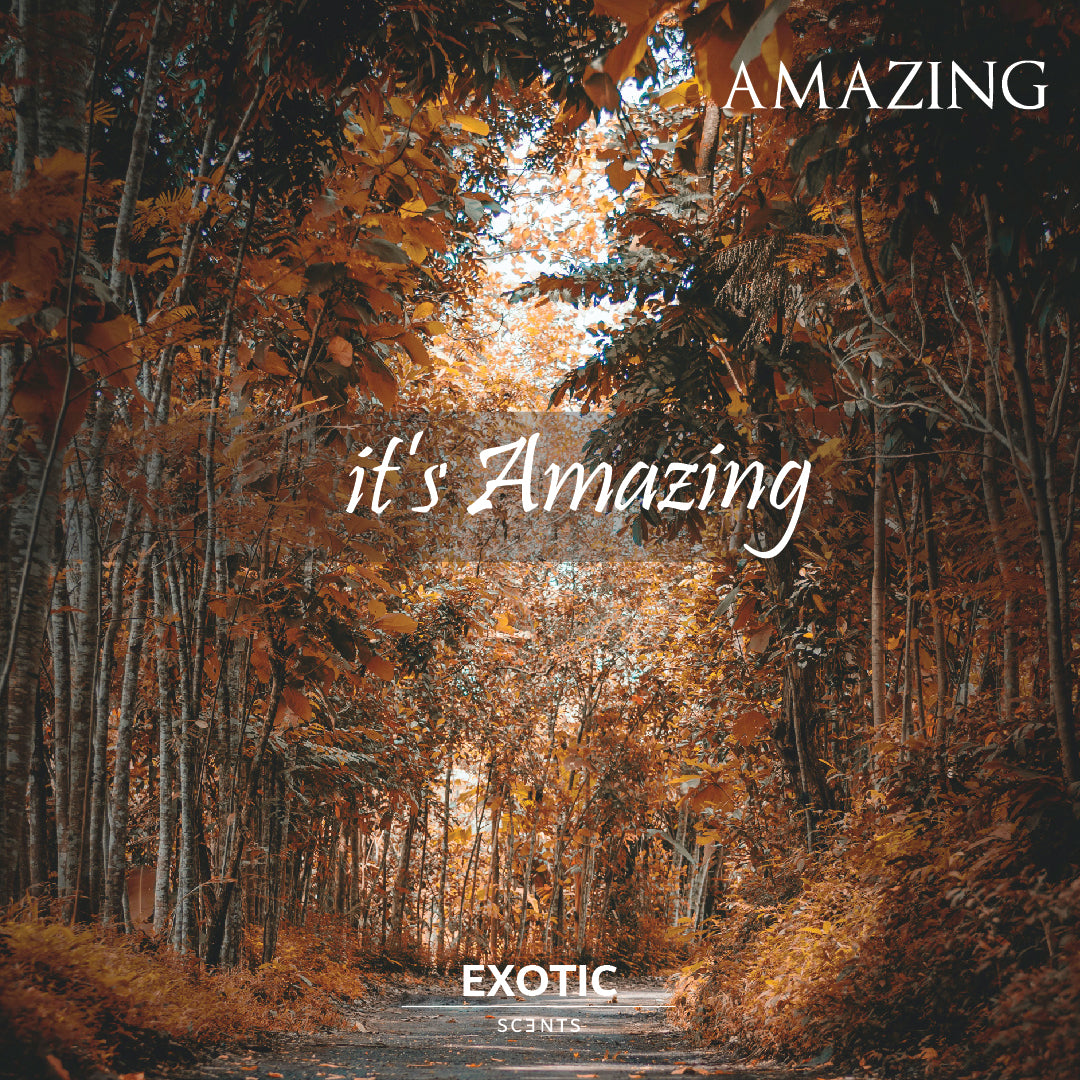 AMAZING: Woody & Floral Fragrance - Exotic Scents