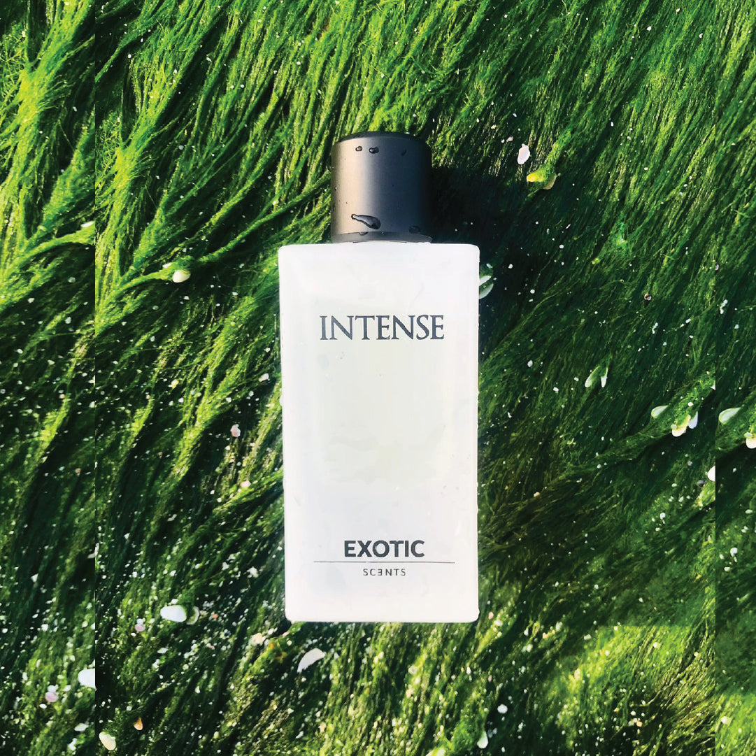 INTENSE: Fresh Aquatic Fragrance For All Occasions