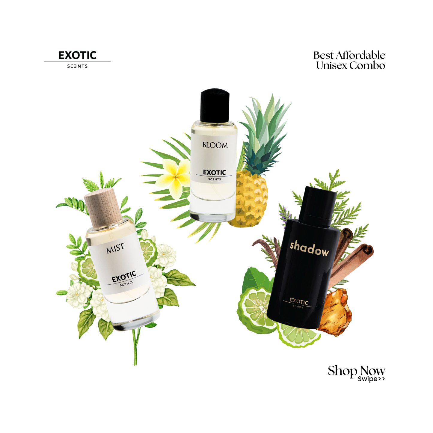 MIST, BLOOM & SHADOW COMBO - The Best Affordable Unisex Trio