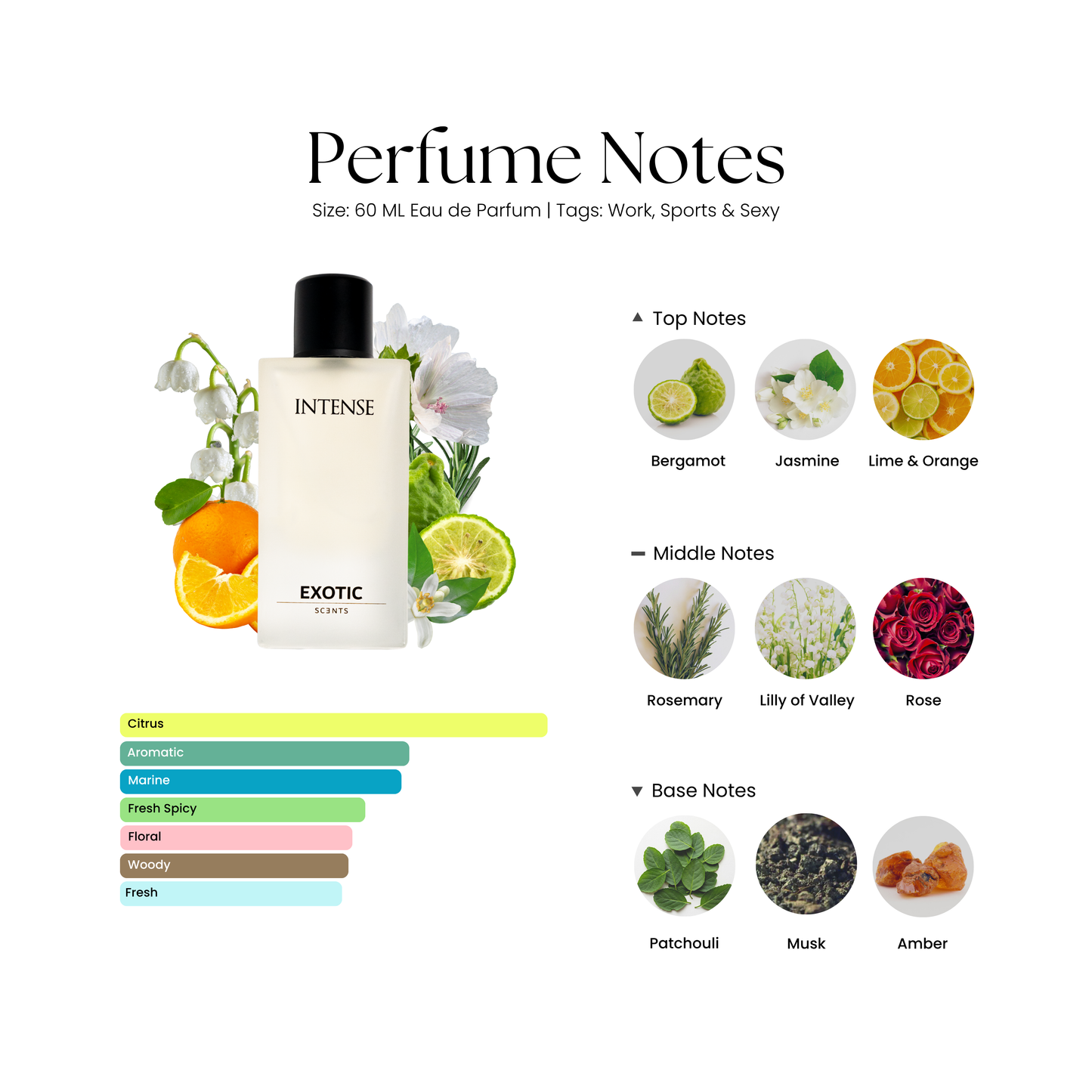 INTENSE: Fresh Aquatic Fragrance For All Occasions