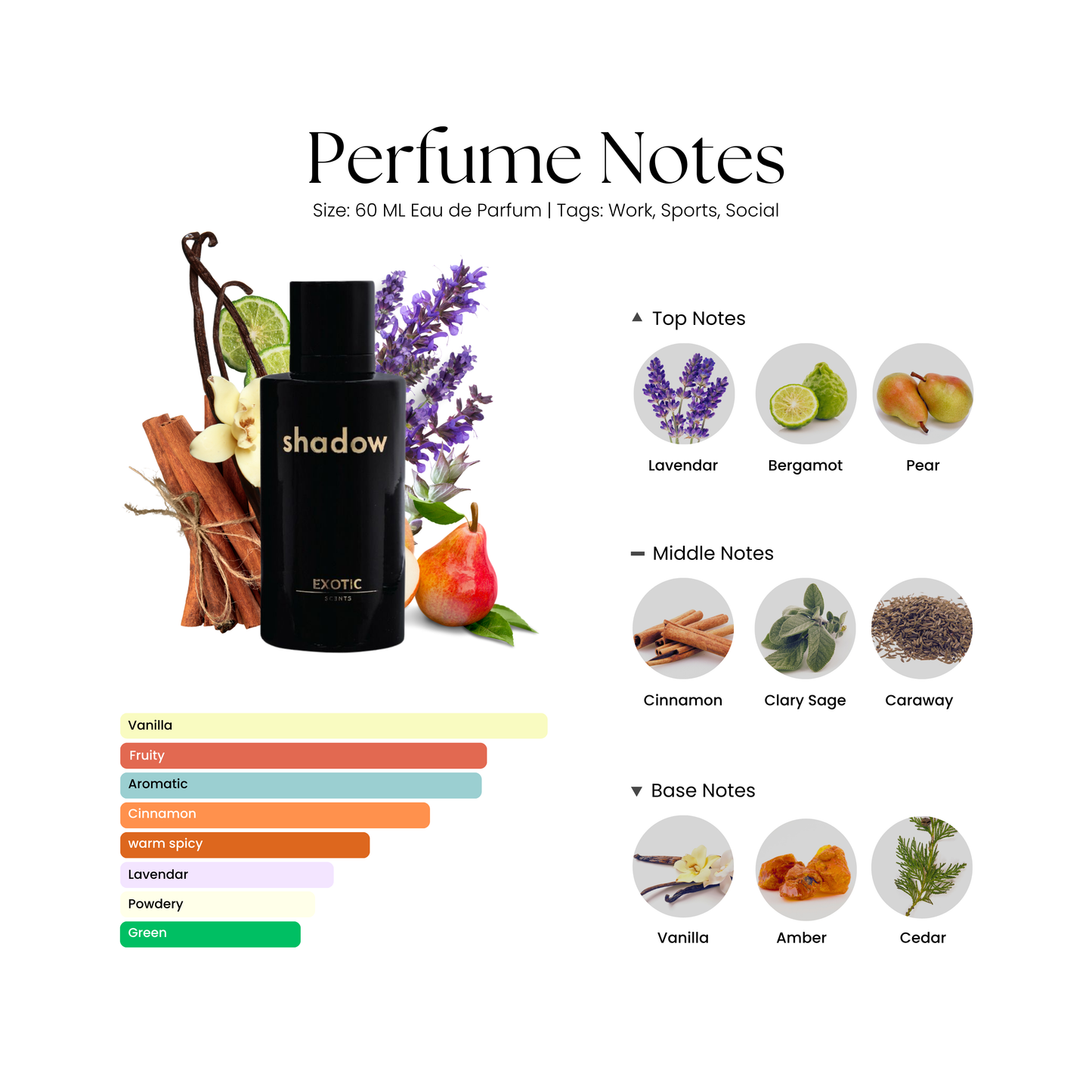 SHADOW: All-Time Men's Fragrance