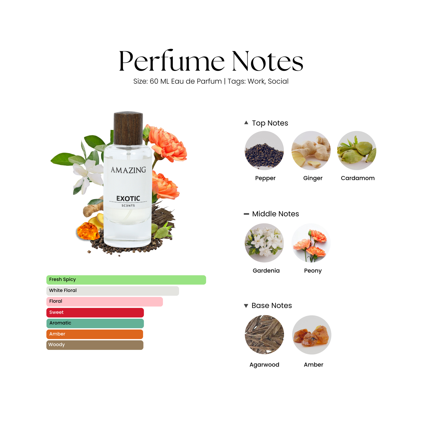 MIST, BLOOM & AMAZING Combo - Perfect Fragrance Trio