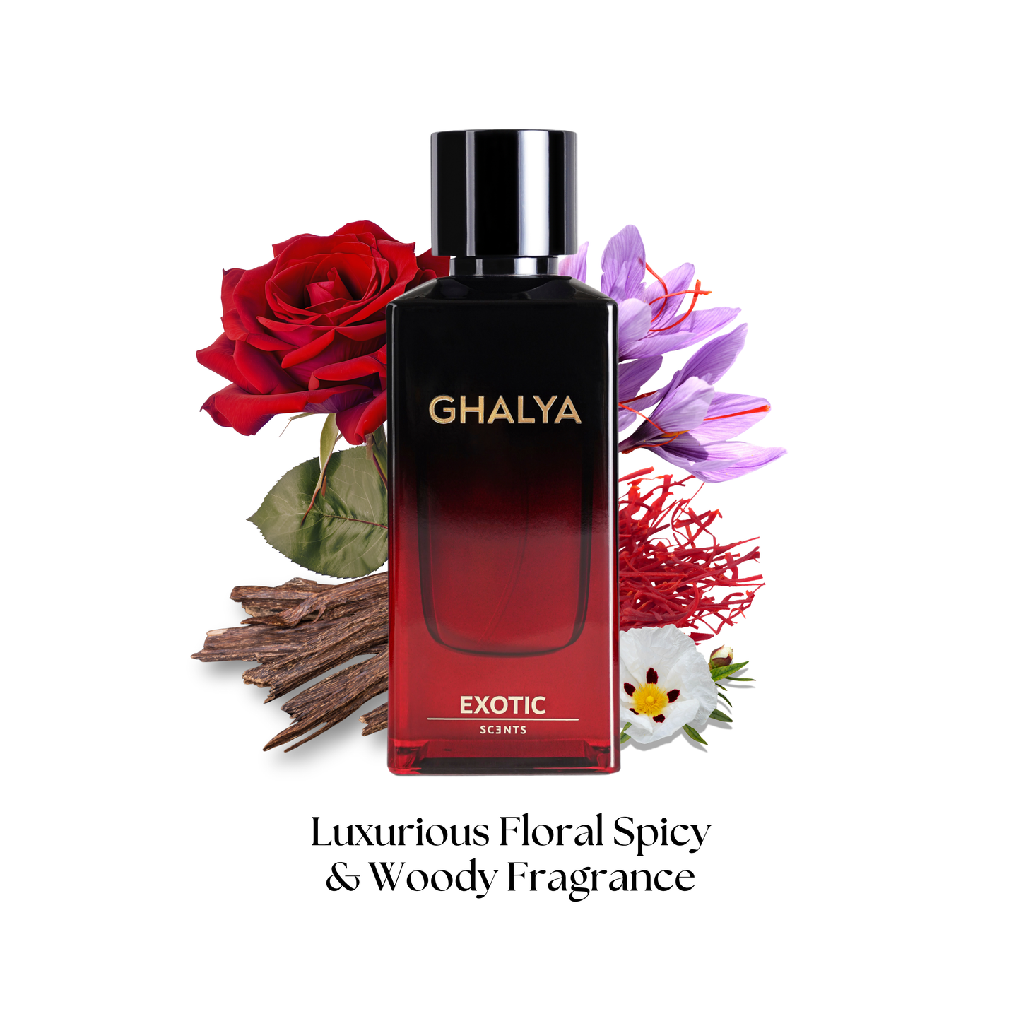 KISWA & GHALYA -The Signature Combo