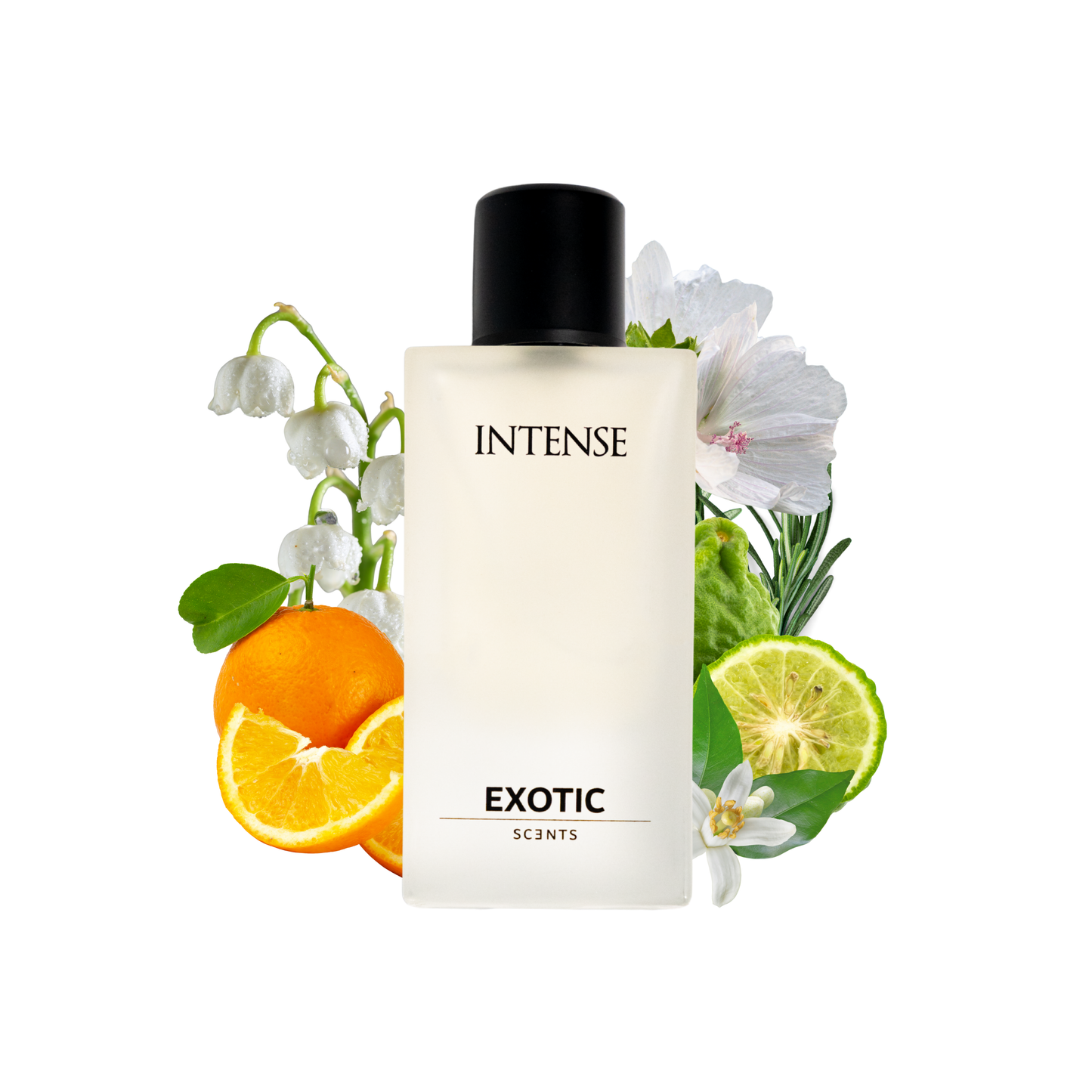 INTENSE: Fresh Aquatic Fragrance For All Occasions