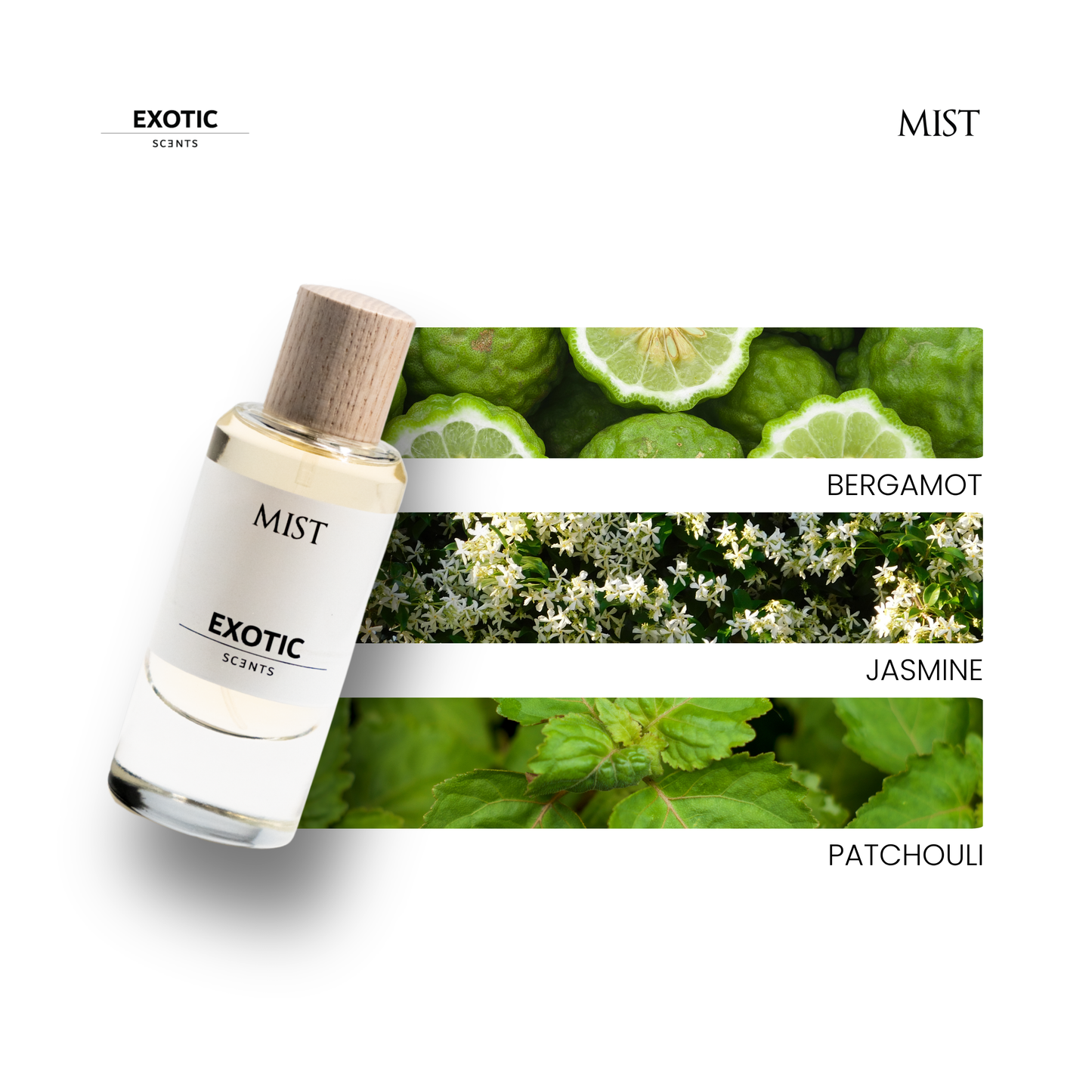 INTENSE, MIST, BLOOM & SHADOW The Best Value Unisex Combo