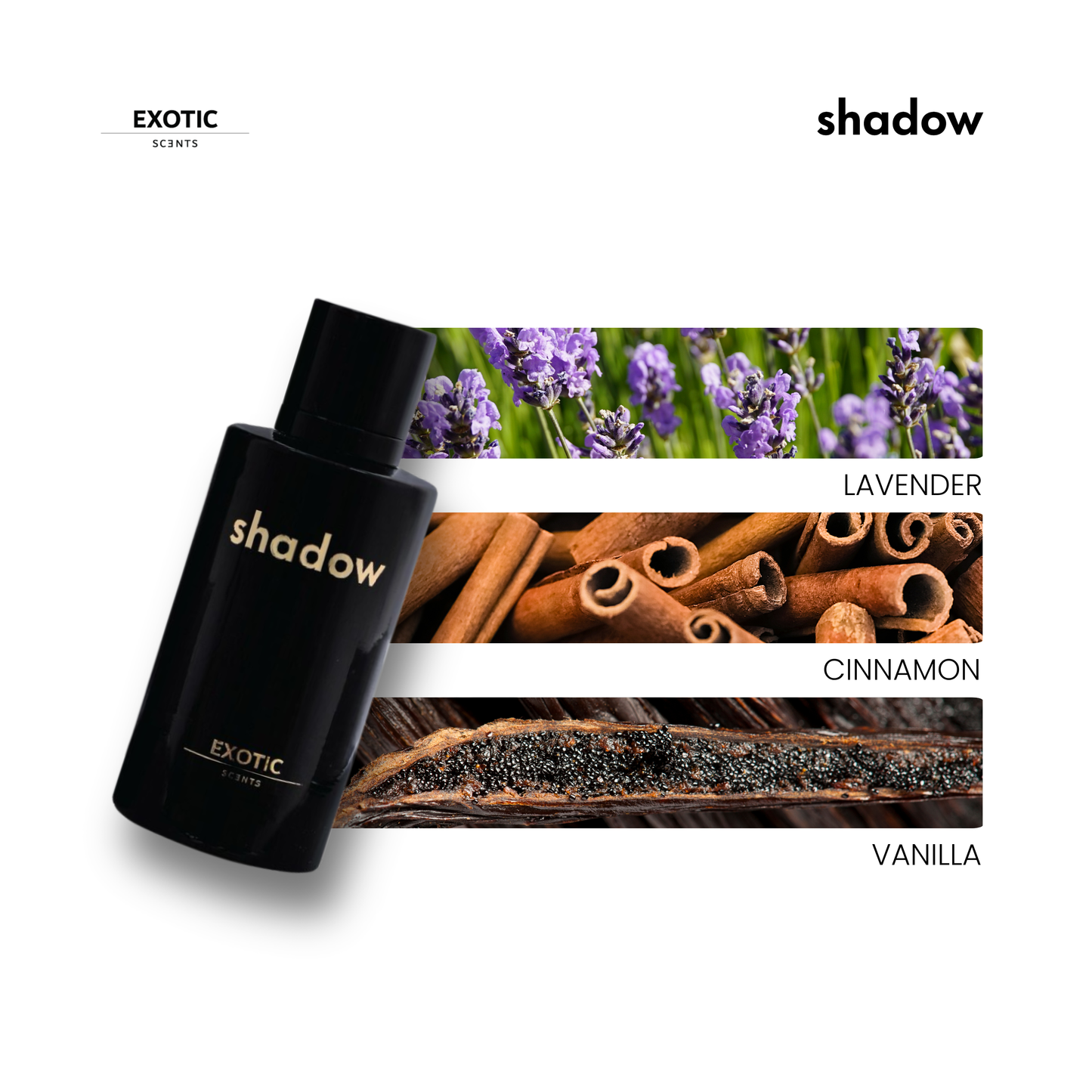 INTENSE, MIST, BLOOM & SHADOW The Best Value Unisex Combo
