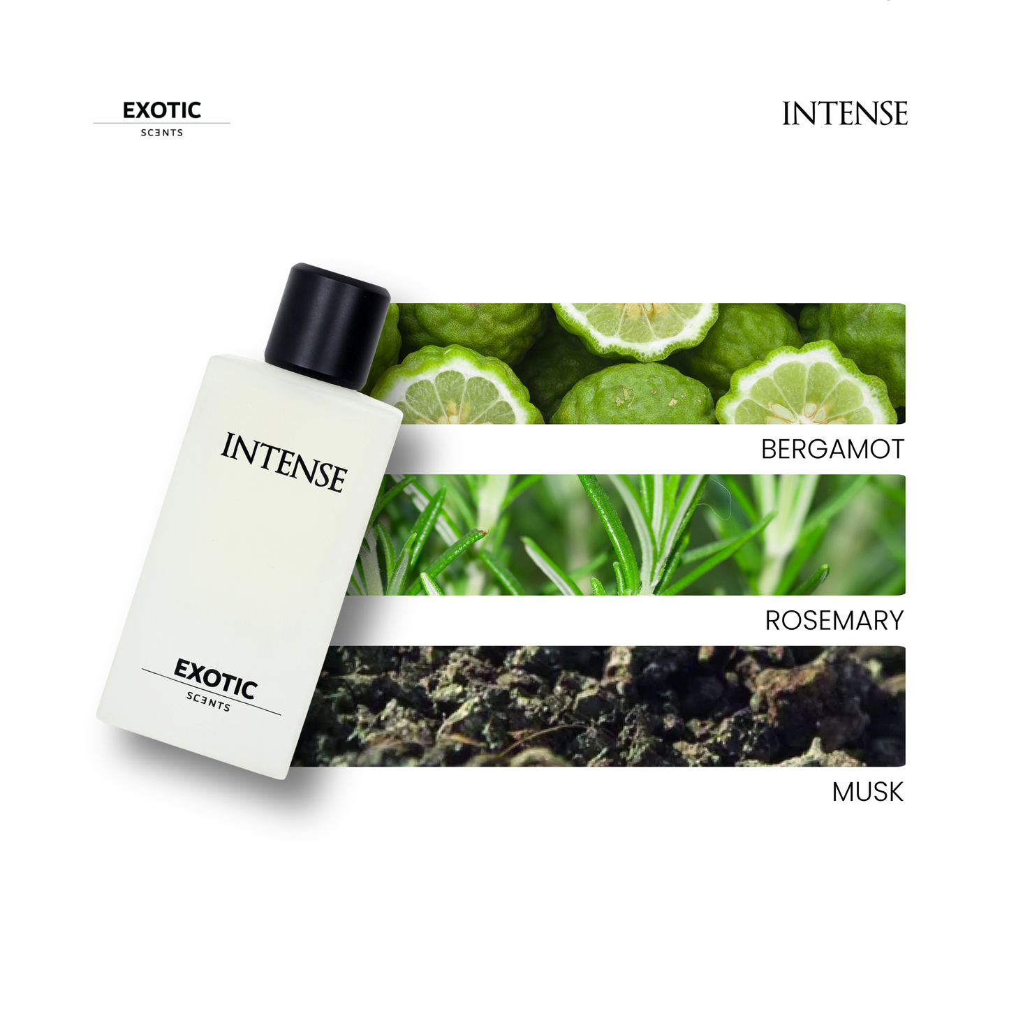 INTENSE, MIST & BLOOM Combo - Best Seller Exotic Combo