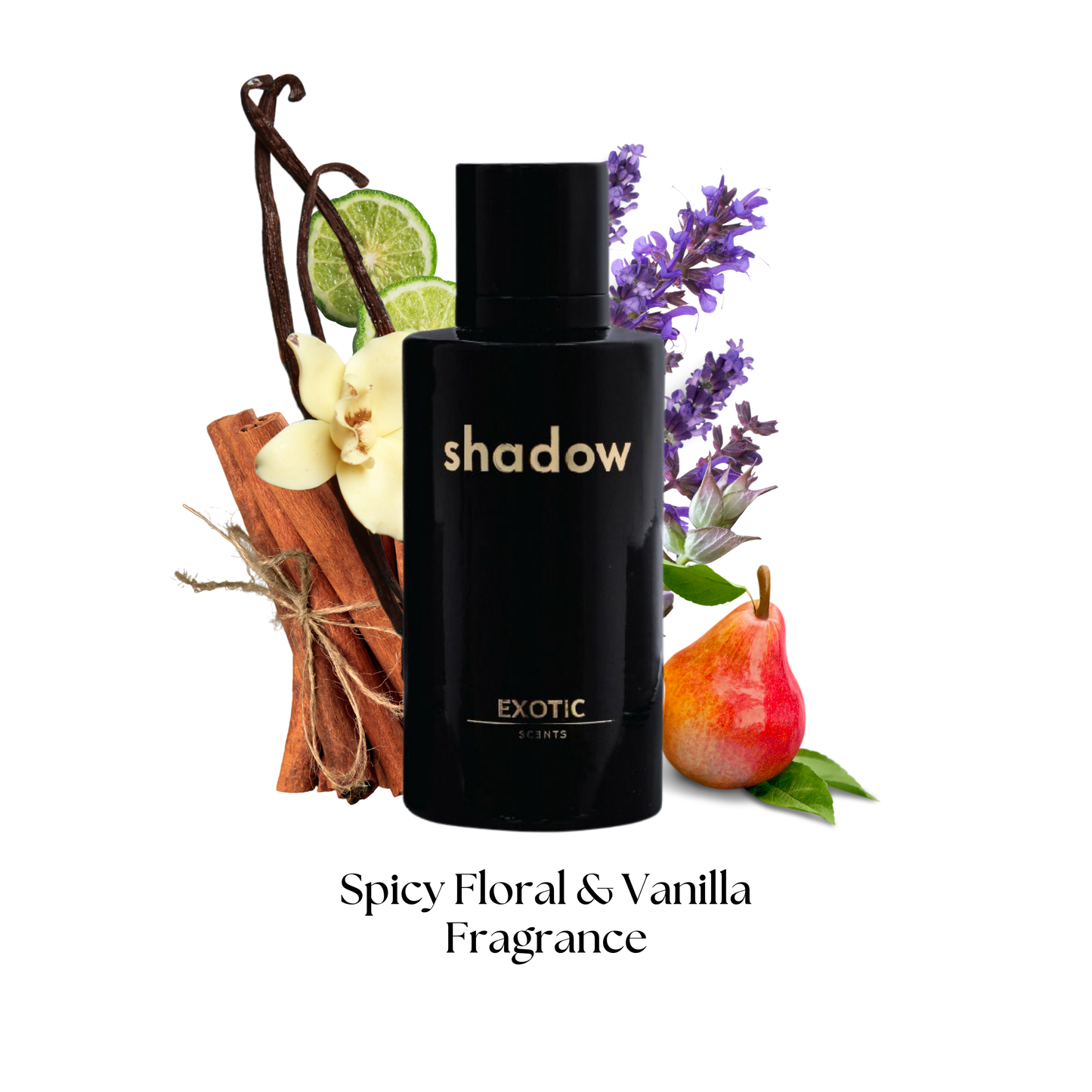 MIST, BLOOM & SHADOW COMBO - The Best Affordable Unisex Trio