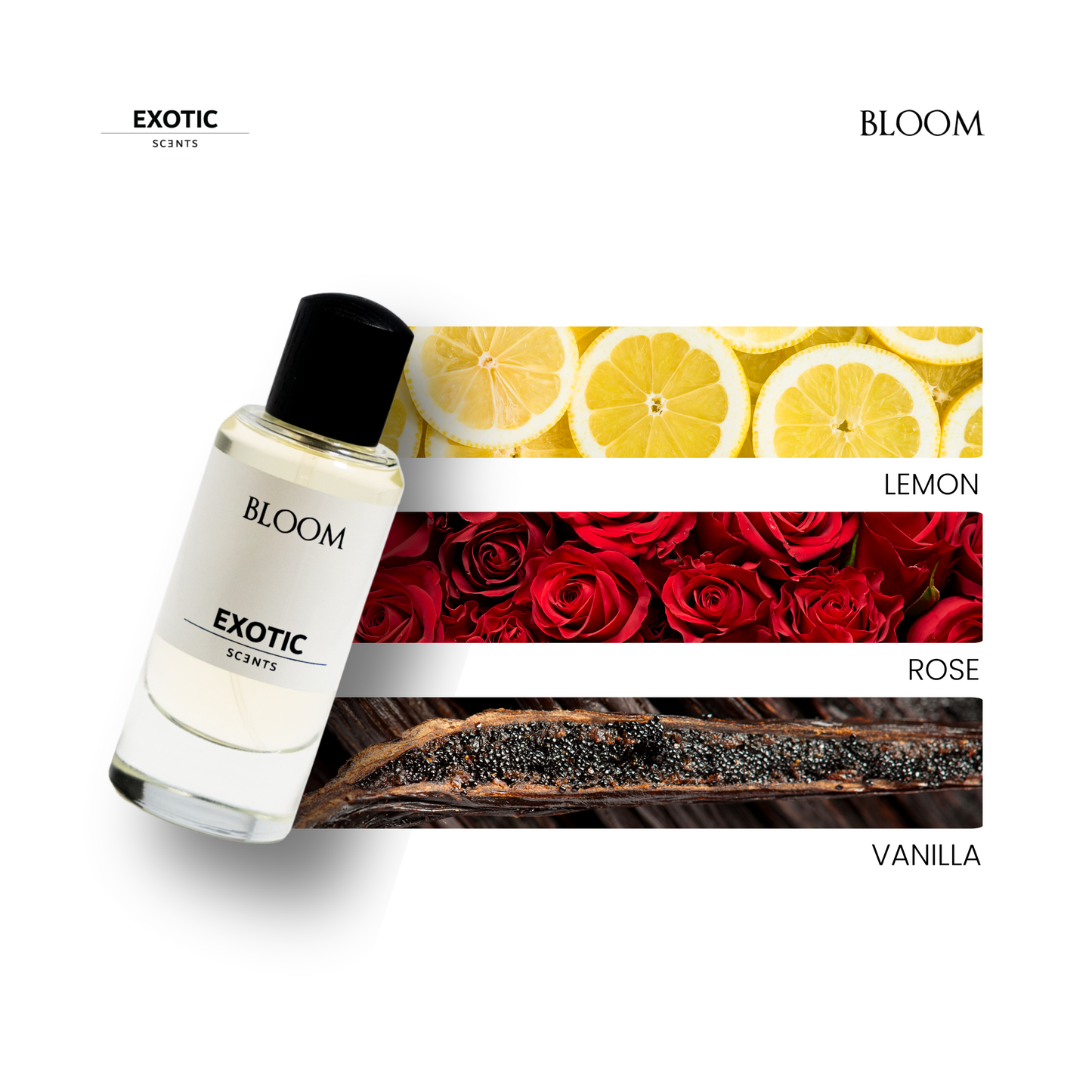 BLOOM: Fruity Floral Fragrance