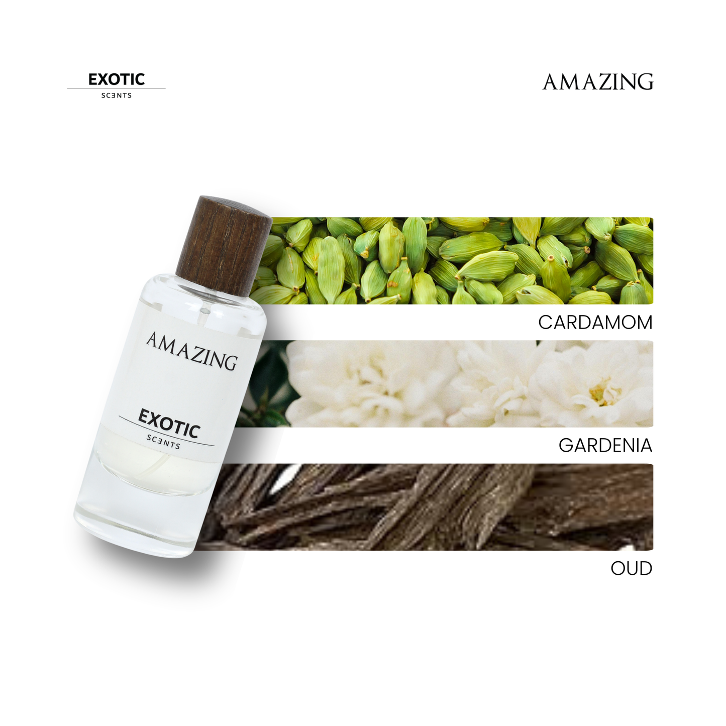 AMAZING: Woody & Floral Fragrance