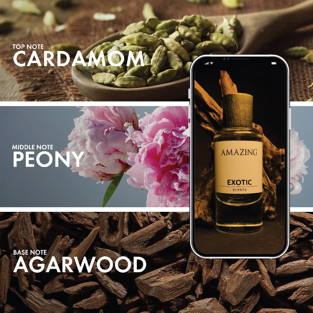 AMAZING: Woody & Floral Fragrance - Exotic Scents