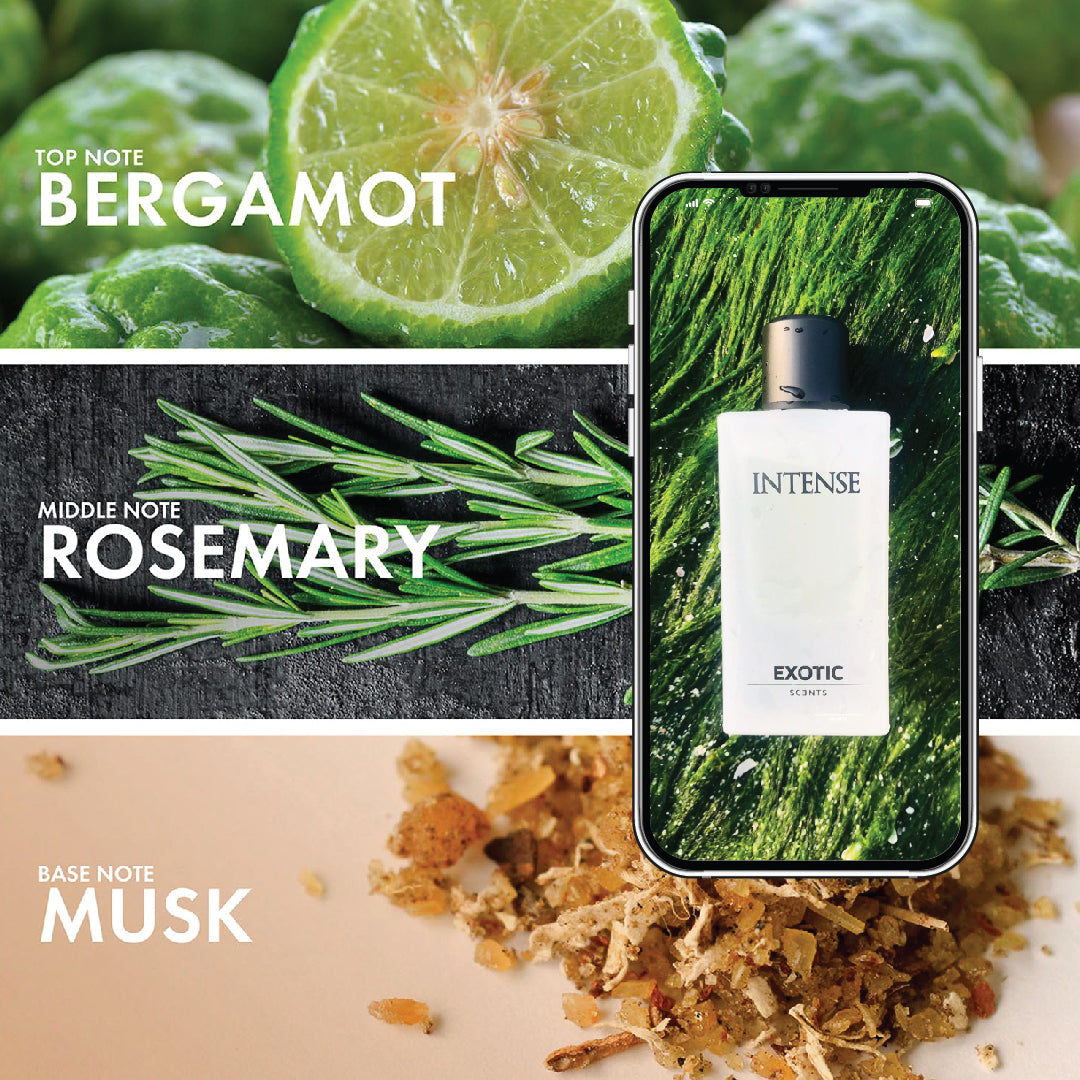INTENSE EDP - Fresh Aquatic Fragrance for All Occasions - Exotic Scents