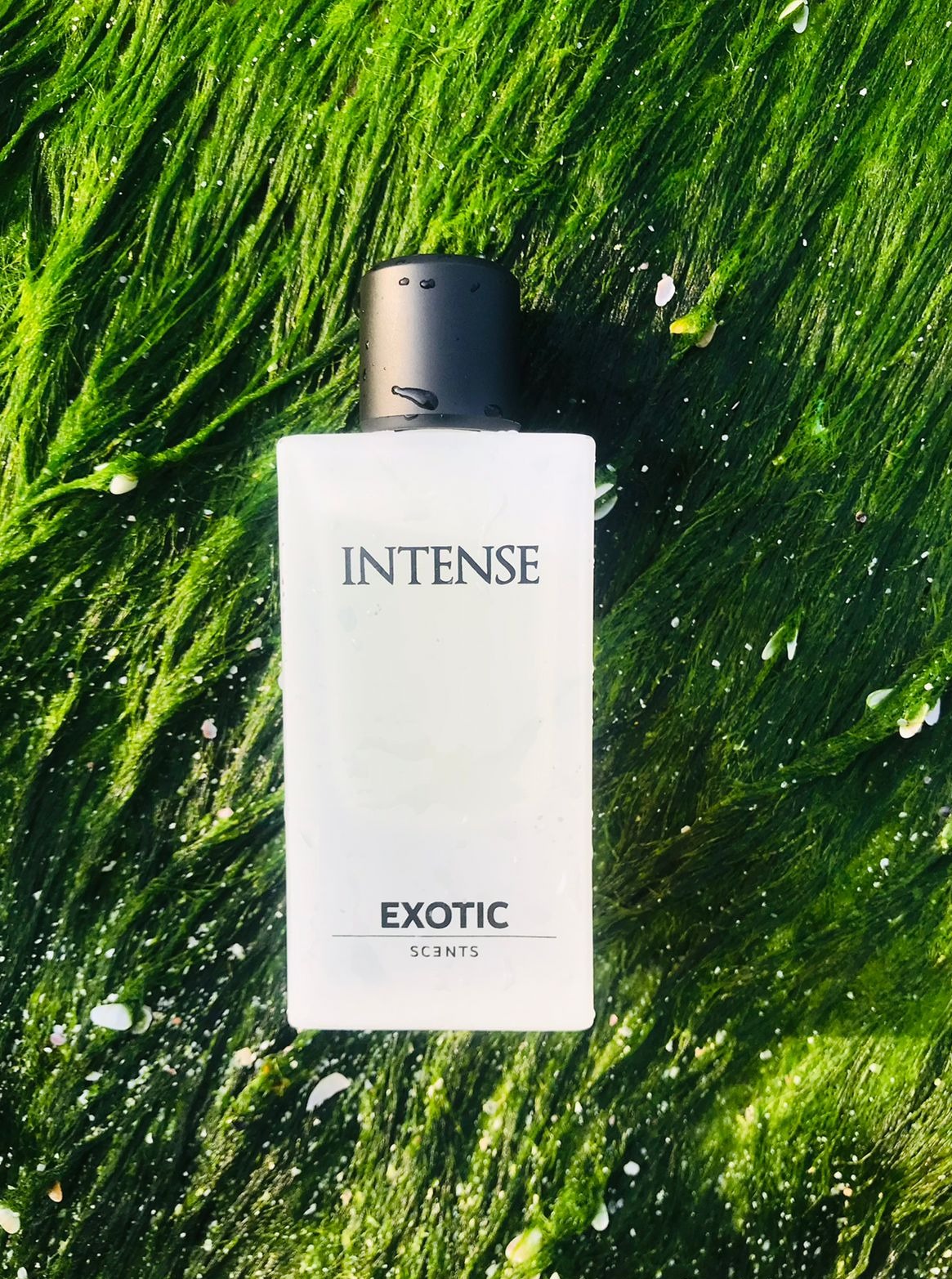 INTENSE: Essences of Fresh Aquatic Notes